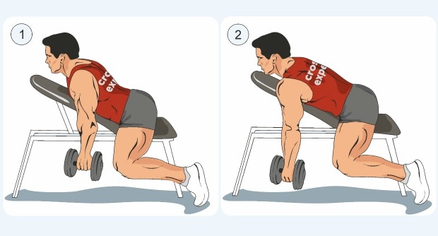 Dumbbell Shrugs on an Incline Bench