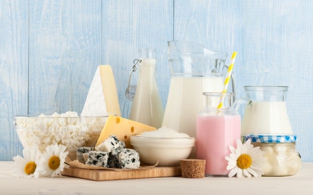 fermented milk products